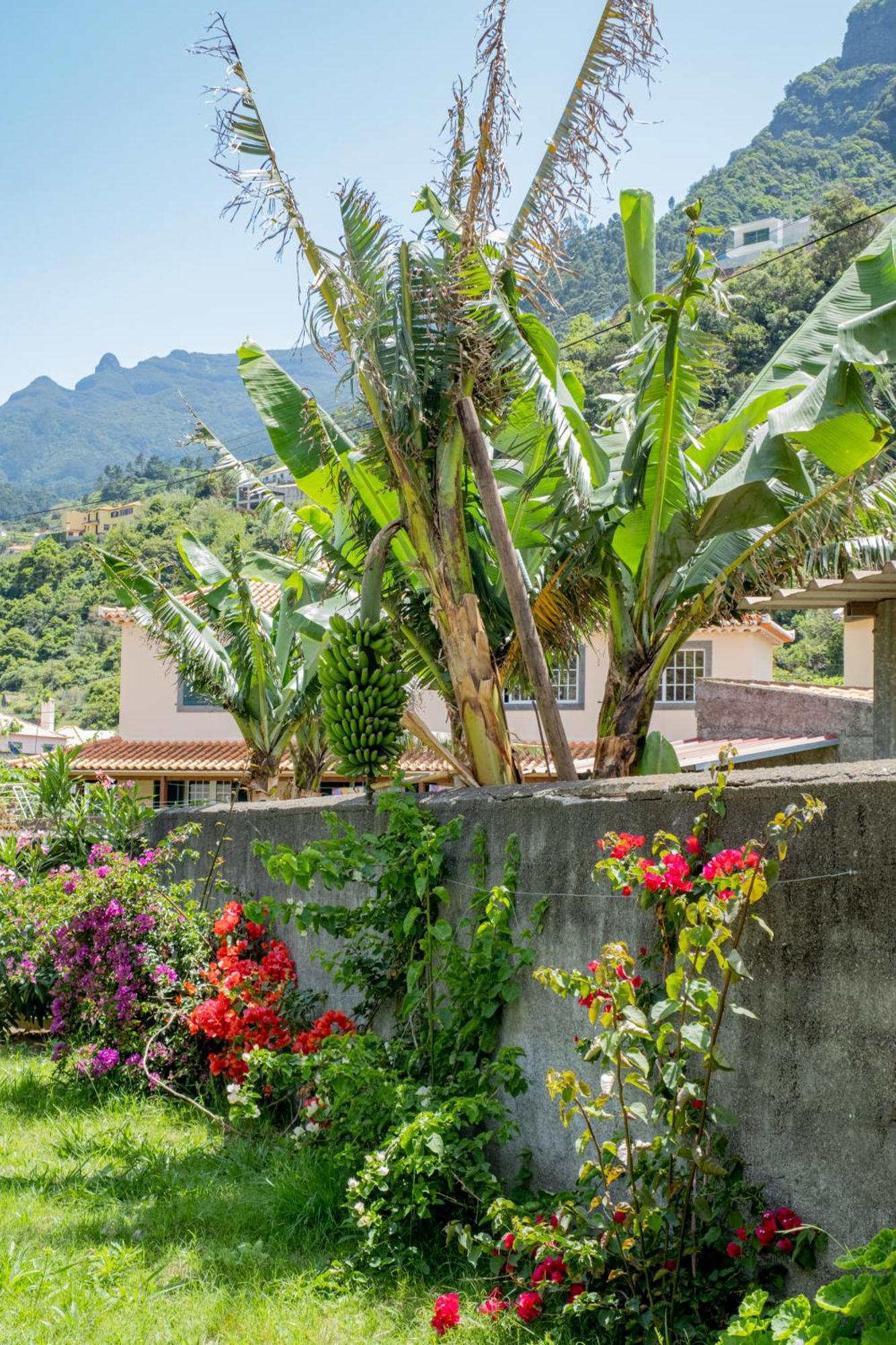 Sao Vicente Guest House Dış mekan fotoğraf
